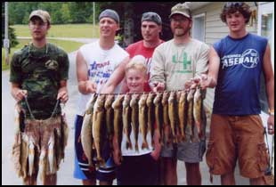 Stringer of walleye, northern, and perch caught on Lake Plantagenet.